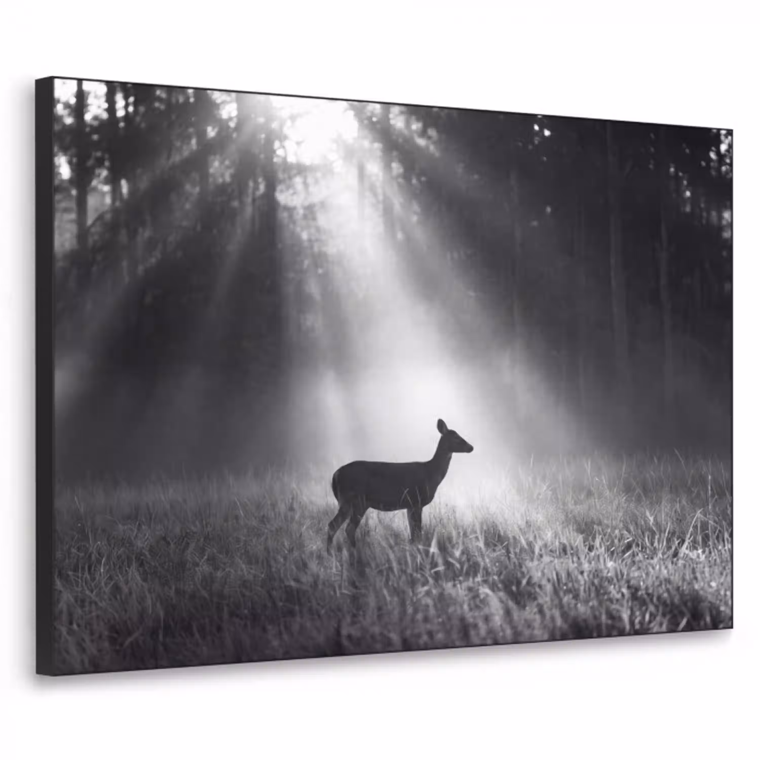 Hert - Bos - Zonnestralen - Zwart-wit - Natuur Textielframe zwart klein -3d