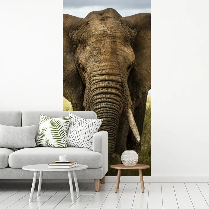 Olifant - Natuur - Gras - Dieren - Landschap fotobehang vinyl groot -woonkamer
