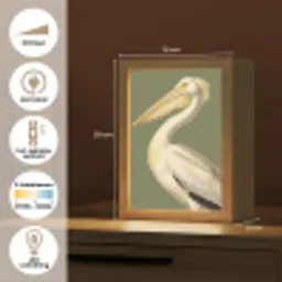 Pelikaan - Wit - Vogel - Klassiek - Natuur Light Box met kabel (Kinderlampje) klein -USP_NL