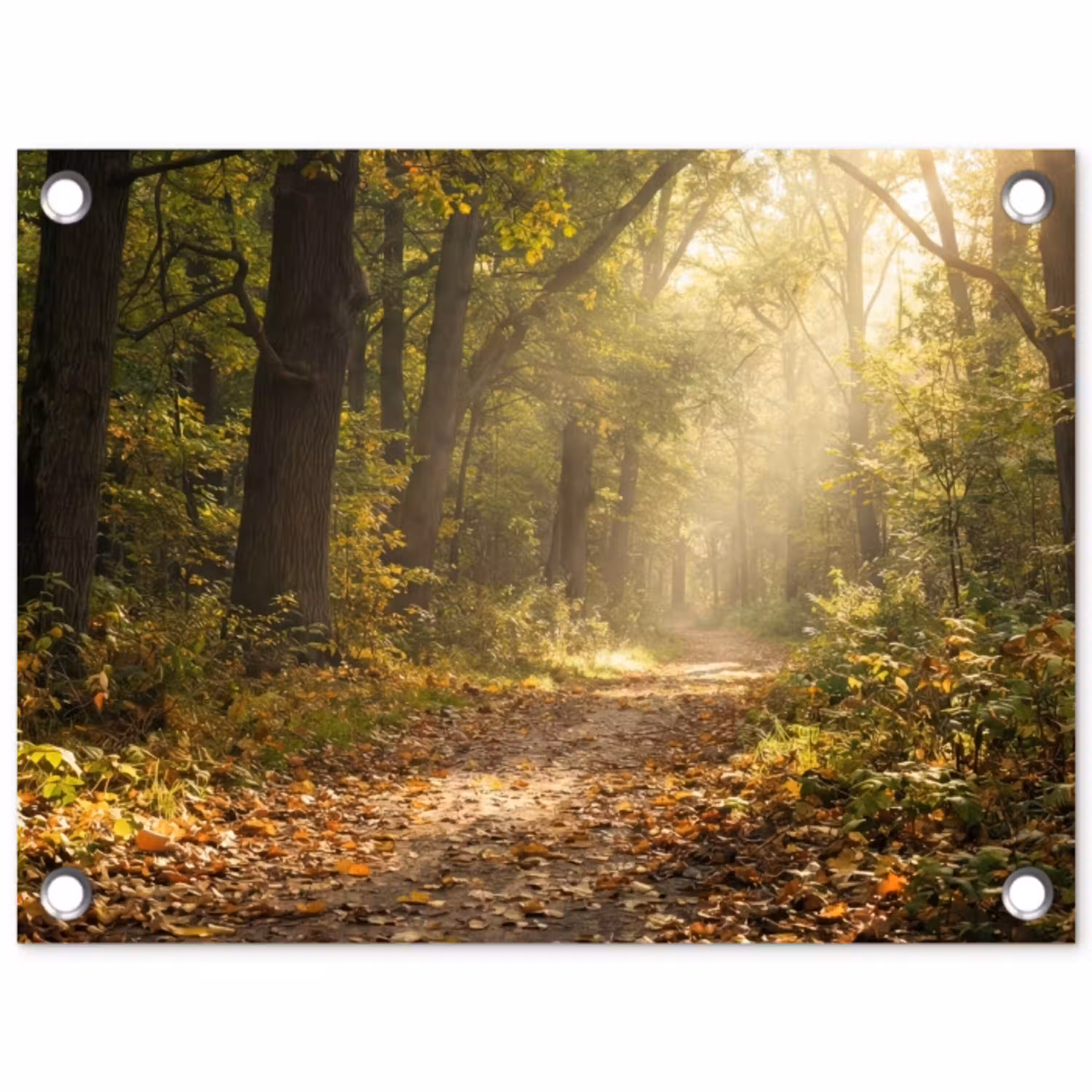 Zonlicht - Bospad - Bomen tuinposter los doek klein -3d