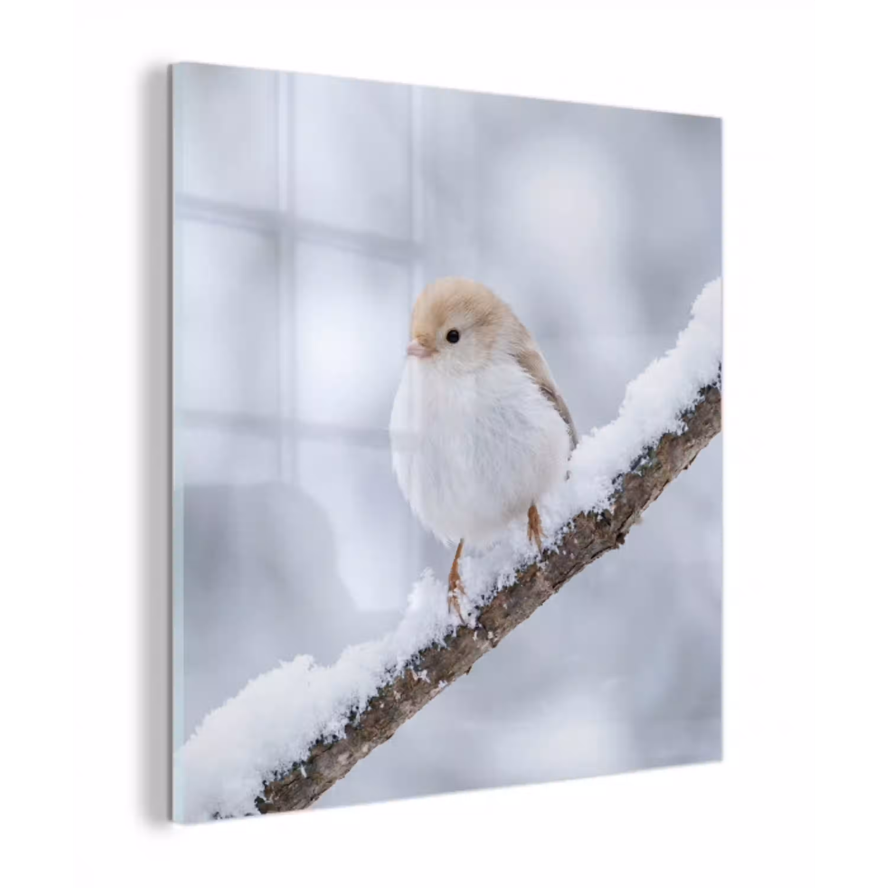 Vogeltje - Sneeuw - Tak - Winter - Zacht plexiglas 5mm klein -z3d