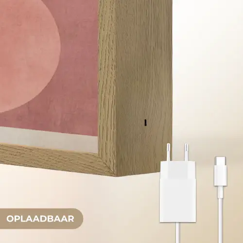 Figuren - Abstract - Roze Light Box met batterij (Wandlamp) middel -USP_websiteoplaadbaarNL