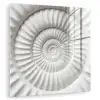 Schelp - Spiraal - Wit plexiglas 5mm klein -zzzproduct_nieuw