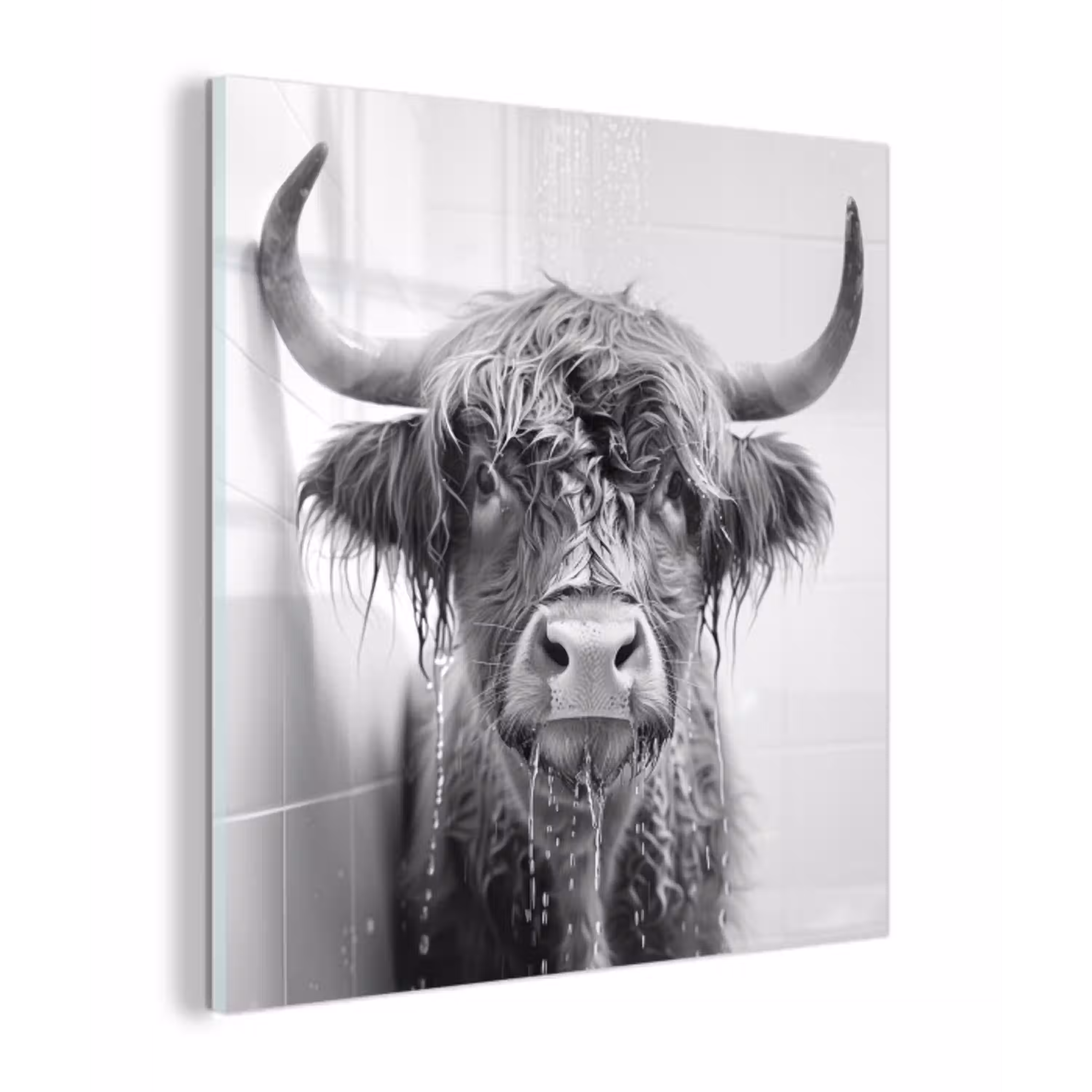 Schotse Hooglander - Dier - Douche - Humor plexiglas 5mm klein -z3d