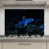 Vis - Stippen - Koraal - Blauw keuken achterwand spatscherm klein -3d_website