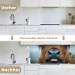 Schotse hooglander - Neus - Bruin keuken achterwand 2 middel -voor-na_DE