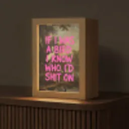Klassiek - Humor - Roze Light Box met kabel (Tafellamp) klein -z3d_website