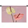 Bloemen - Anthuriums - Geel - Roze Wandkleed katoen klein -zz3d