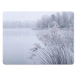 Riet - Bevroren - Winter - Natuur muismat rubber klein -3d