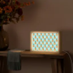 Ananas - Strepen - Groen Light Box met kabel (Tafellamp) klein 924 -sfeer4