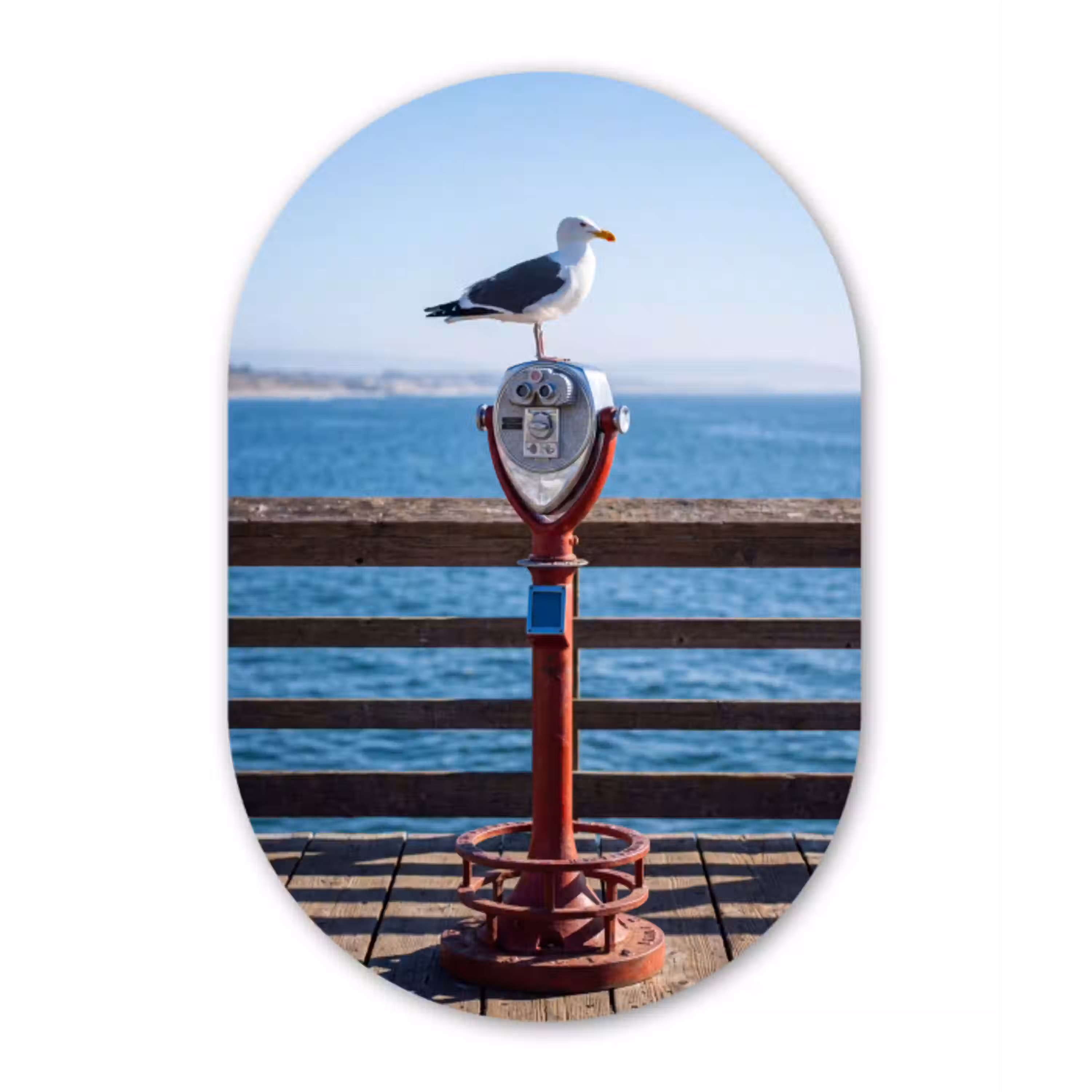 Vogel - Verrekijker - Kust - Zee - Blauw Wandcirkel Ovaal Aluminium middel -3d