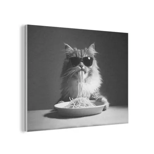 Langharige kat - Zonnebril - Spaghetti - Humor - Zwart - wit PET vilt klein -3d