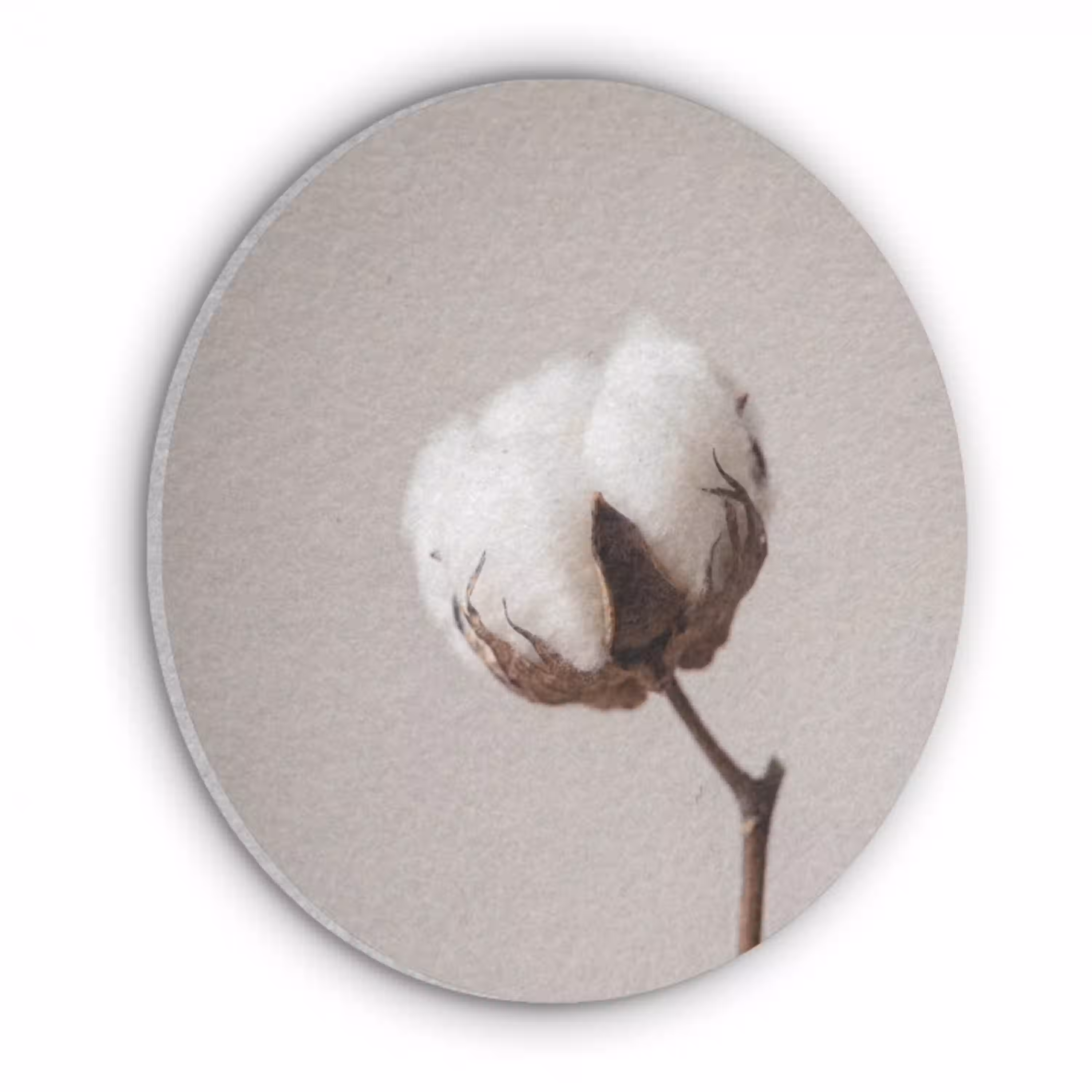 Katoenbol - Minimalistisch - Wit Akoestische PET Vilt - Rond klein -3d