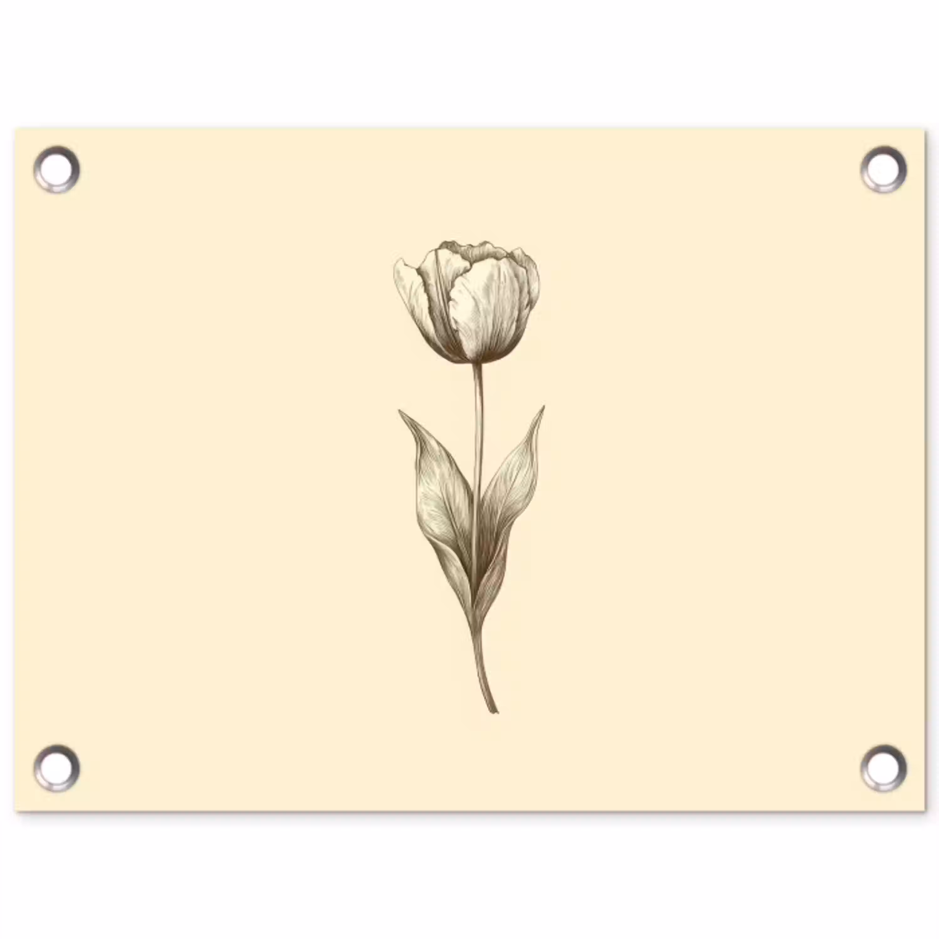 Illustratie - Tulp - Zwart tuinposter los doek klein -3d