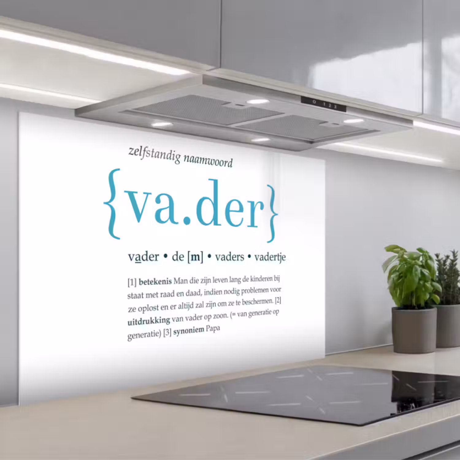 Spatscherm keuken - Quotes - Vader definitie - Spreuken - Woordenboek