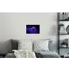 Koraal - Vis - Oranje - Zee Muursticker klein -slaapkamer