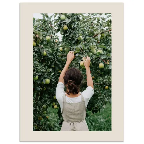 Boom - Appels - Plukken - Natuur poster papier klein -3d