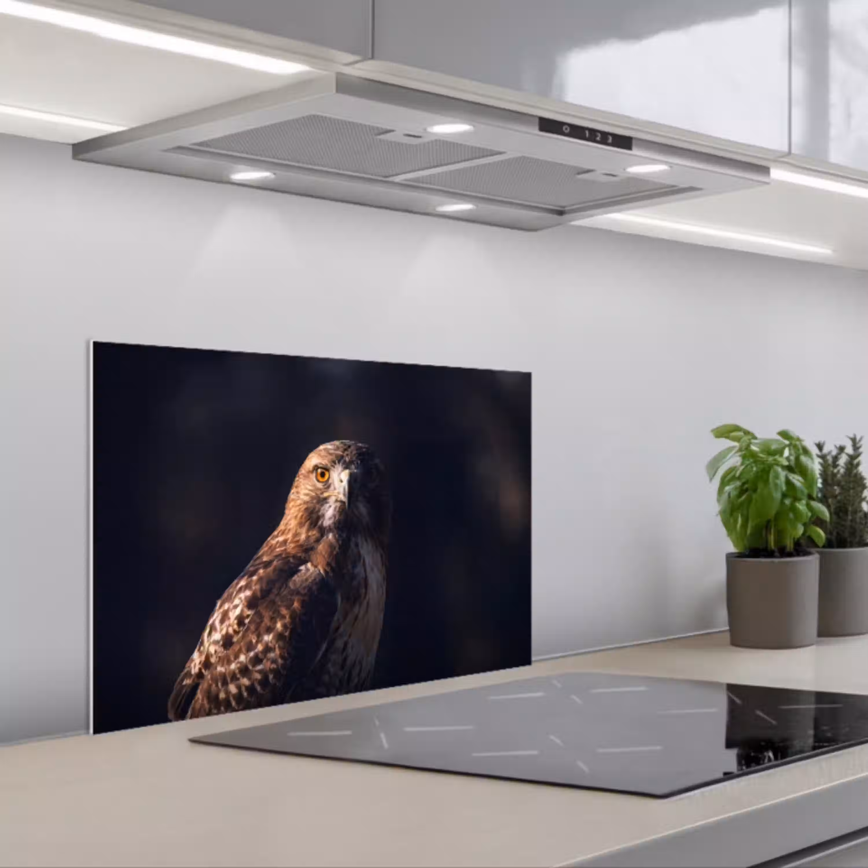 Roofvogel - Buizerd - Bruin keuken achterwand spatscherm klein -3d_schuin