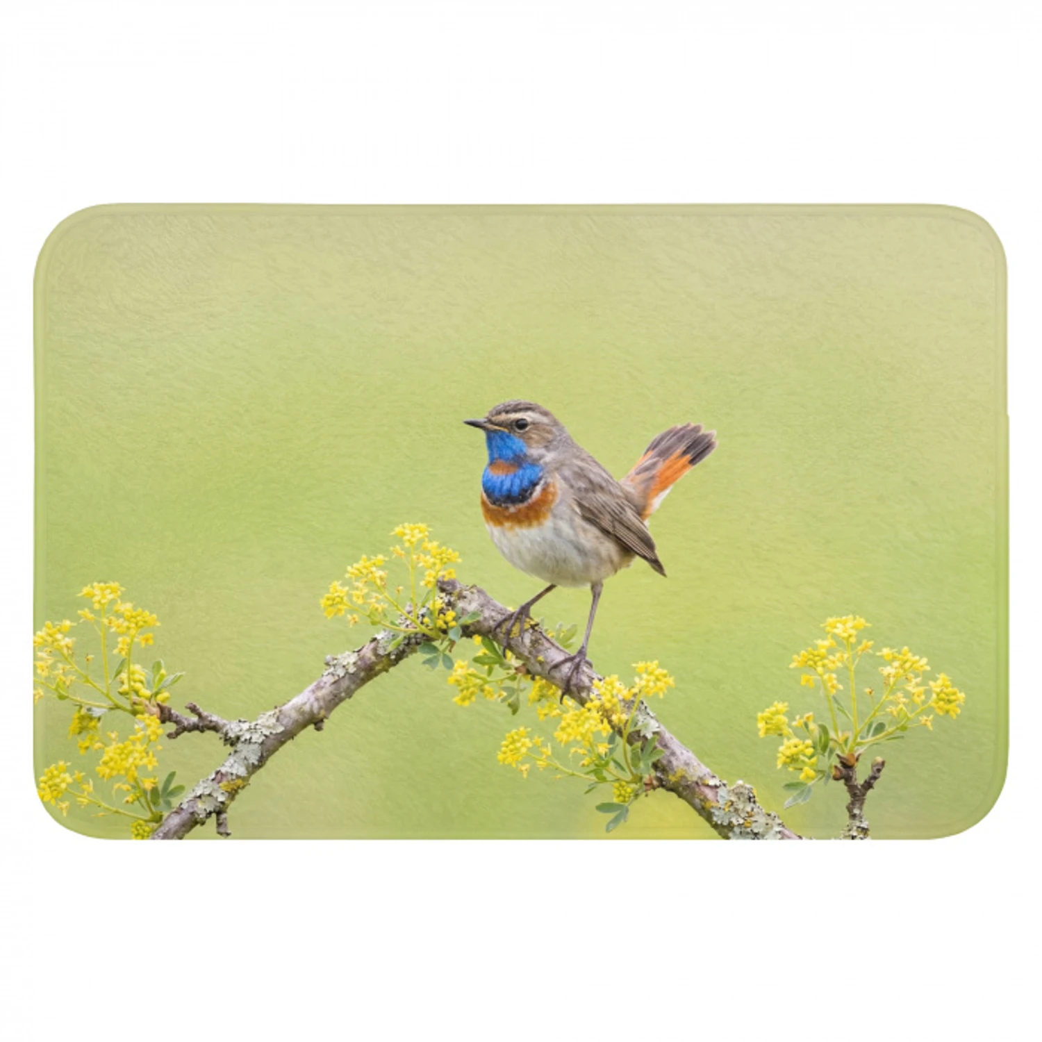 Vogel - Tak - Natuur - Kleurrijk Badmat klein -3d