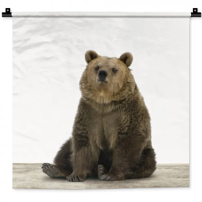 Bruine beer - Dieren - Beer - Schattig - Jongens - Meisjes Wandkleed katoen klein -zz3d