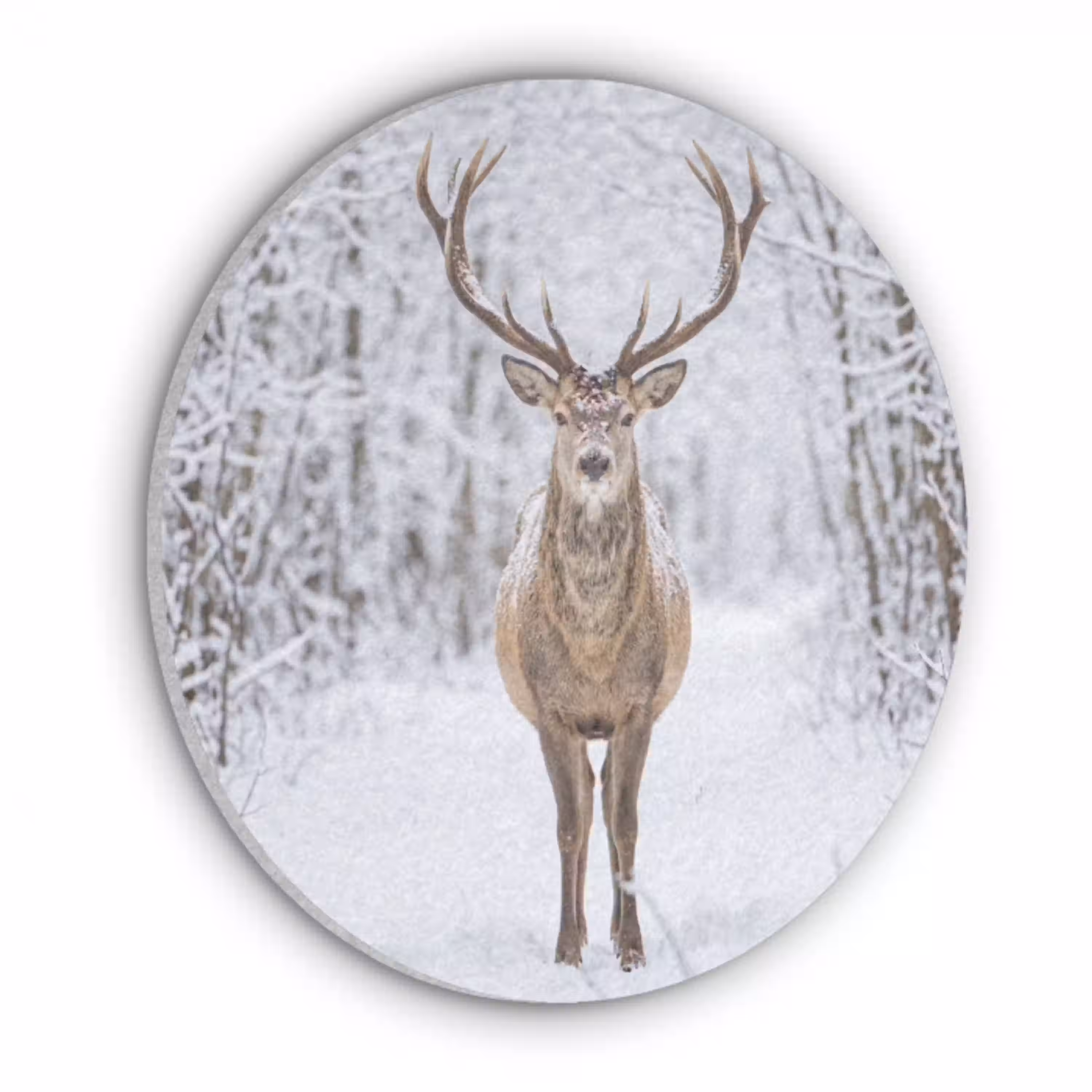 Hert - Winter - Bos - Natuur - Wit Akoestische PET Vilt - Rond klein -3d