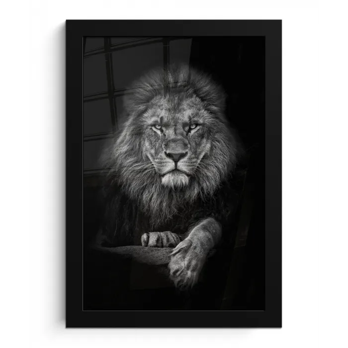 Leeuw - Dieren - Zwart - Wit fotolijst zwart zonder passe partout klein -3d