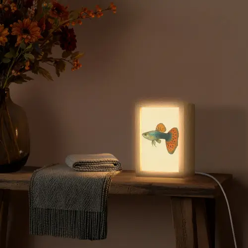 Vis - illustratie - Stippen - Oranje Light Box met kabel (Tafellamp) klein -sfeer4