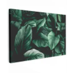 Jungle - Bladeren - Tropisch - Planten - Natuur canvas 2cm klein -z3d