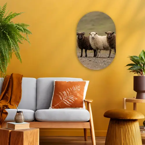 Schapen - Bruin - Wit - Grindpad Wandcirkel Ovaal Forex klein -sfeer4