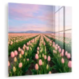 Tulpen - Landschap - Roze plexiglas 5mm klein -zzzproduct_nieuw