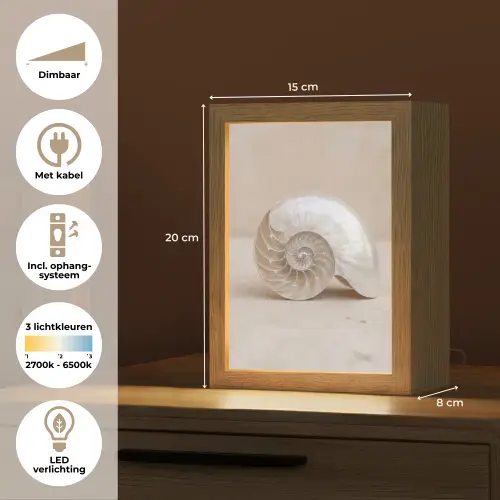 Schelp - Spiraal - Beige Light Box met kabel (Tafellamp) klein -USP_NL