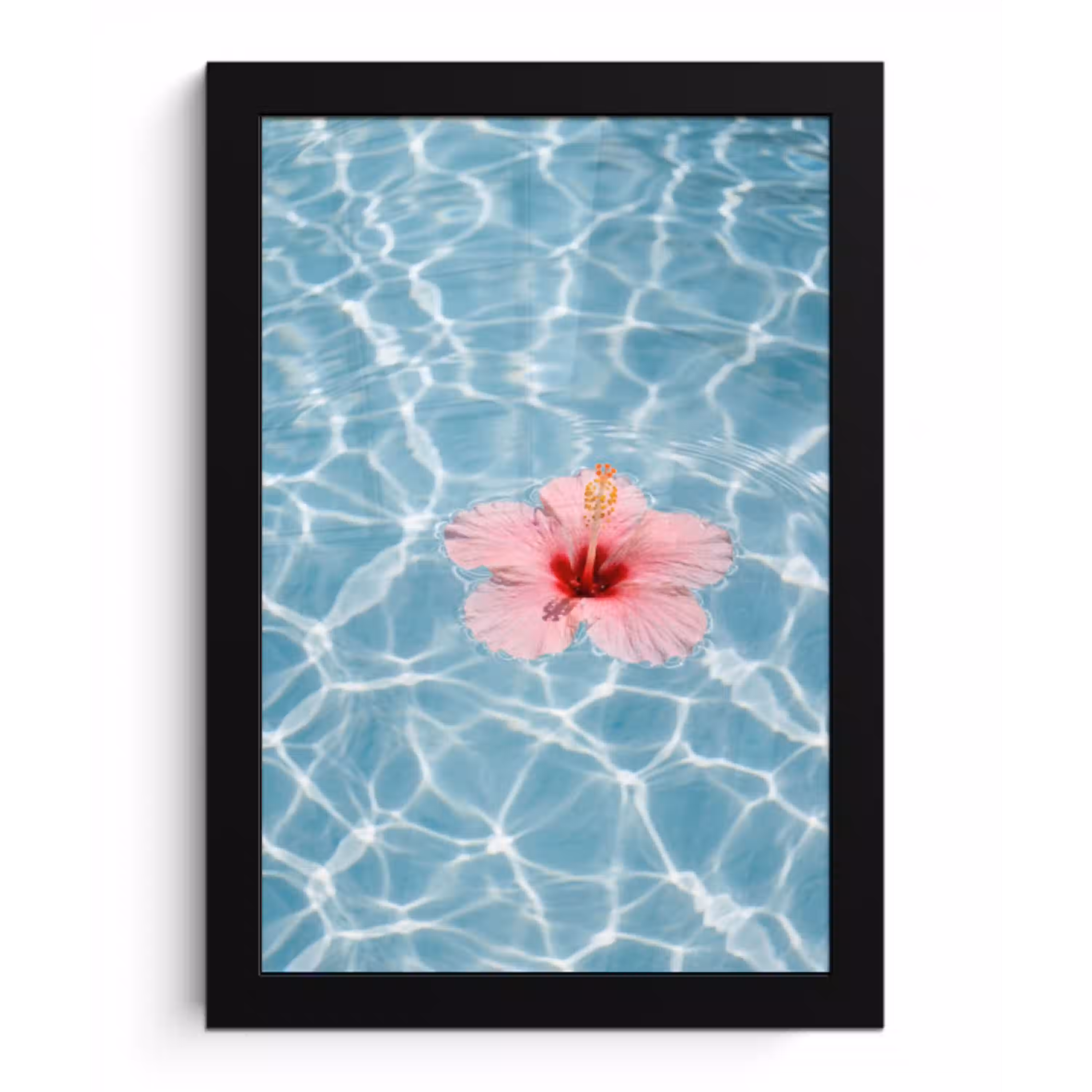 Hibiscus - Water - Roze fotolijst zwart zonder passe partout klein -3d