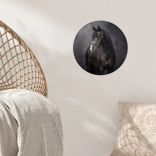 Portret - Paard - Zwart Wandcirkel behangsticker klein -sfeer4