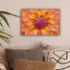 Dahlia - Bloem - Oranje canvas 2cm klein -sfeer1