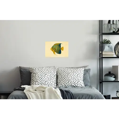 Felgeel - Vis - Strepen - Vinnen Muursticker klein -slaapkamer