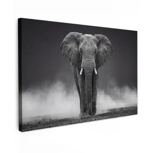Olifant - Zwart - Wit - Rook canvas 2cm klein -z3d