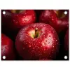 Rood - Appels - Fruit tuinposter los doek klein -3d