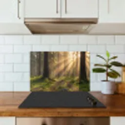 Bos - Zonlicht - Gras keuken achterwand spatscherm klein -sfeer2
