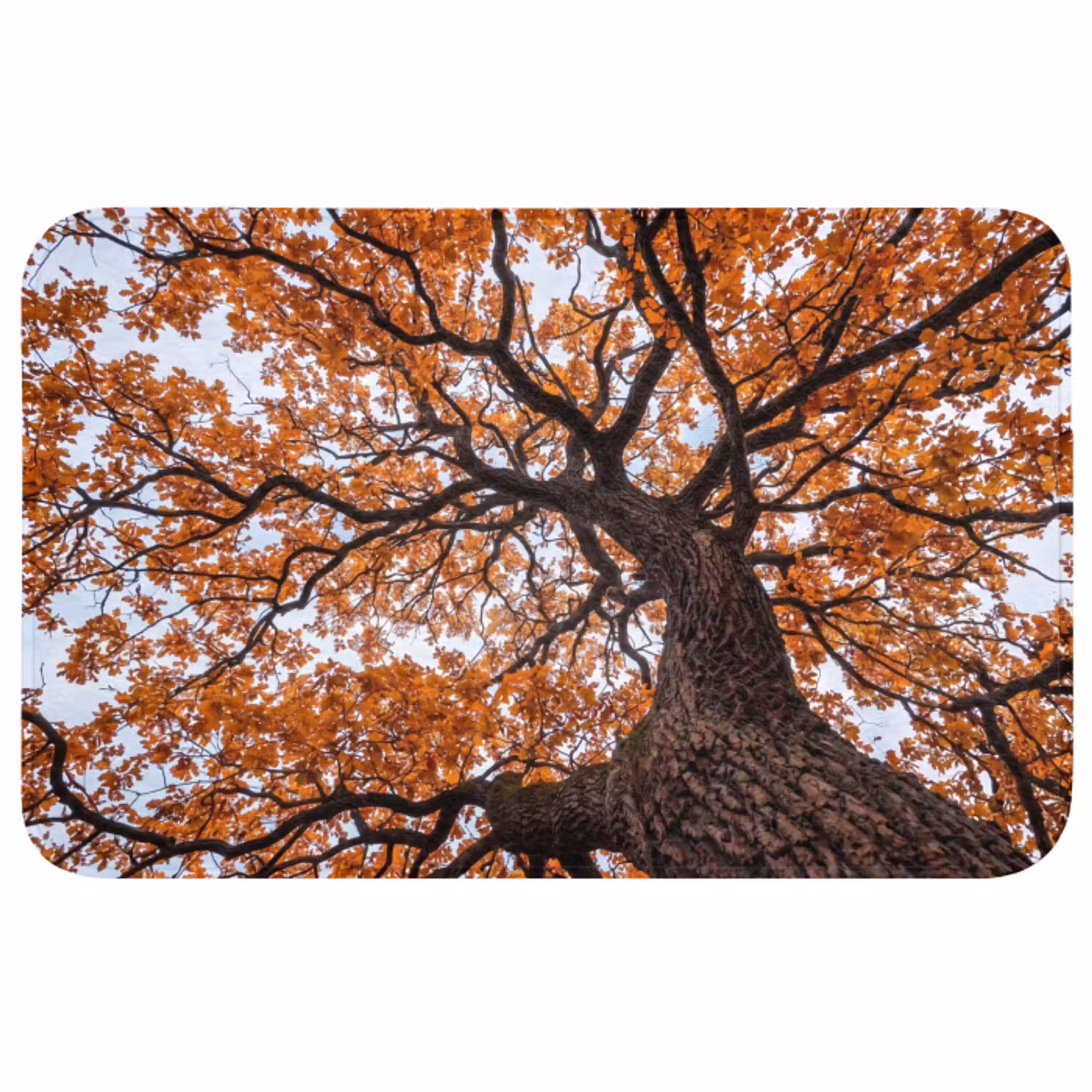 Boom - Bladerdak - Herfst - Oranje - Sfeervol Badmat middel -3d