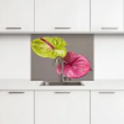 Planten - Anthurium - Groen - Roze keuken achterwand 2 middel -3d