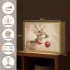 Kerst - Hert - Gewei - Kerstbal - Rendier Light Box met batterij (Wandlamp) middel -USP_websiteoverzichtNL