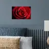 Rood - Roos - Romantisch poster papier klein -sfeer2