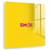 Smile - Roze - Geel plexiglas 5mm klein -zzzproduct_nieuw