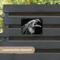 Adelaar - Portret - Roofvogels - Zwart - Wit - Vogel tuinposter los doek klein -sfeer3