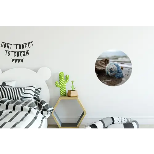 Schelp - Strand - Blauw - Zee Wandcirkel aluminium klein -kinderkamer