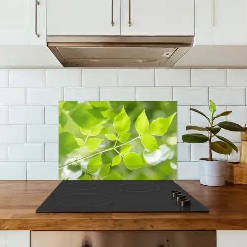 Natuur - Lente - Groen - Bladeren keuken achterwand spatscherm klein -sfeer2