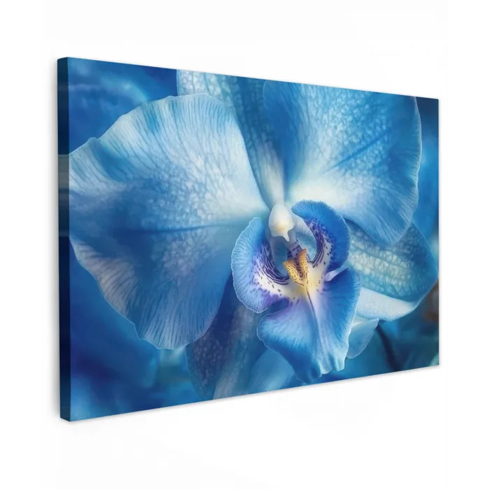 Blauw - Orchidee - Elegeant canvas 2cm klein -z3d