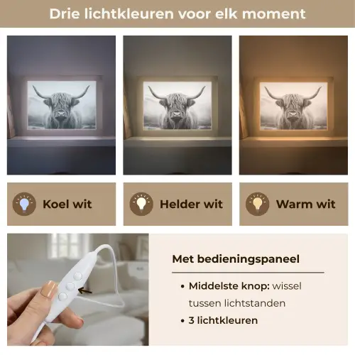 Schotse hooglander - Dieren portret - Zwart - Wit - Dier Light Box met kabel (Tafellamp) klein -USP_lichtkleurNL