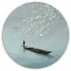 Bloesems - Minimalistisch - Wateroppervlak - Boot Wandcirkel kunststof plaat 5mm dik klein -3d