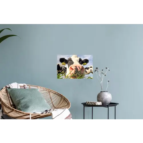 Koe - Boerderij - Gras - Dieren Muursticker klein -plant